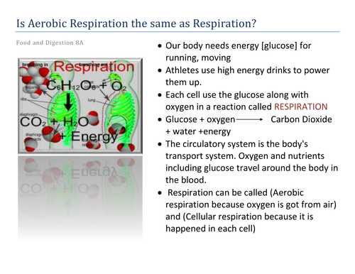 Is Aerobic Respiration The Same As Respiration? 