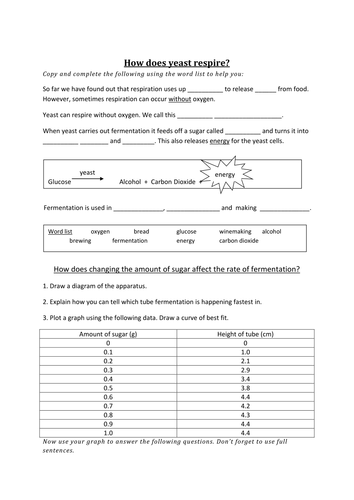 How does yeast respire? | Teaching Resources