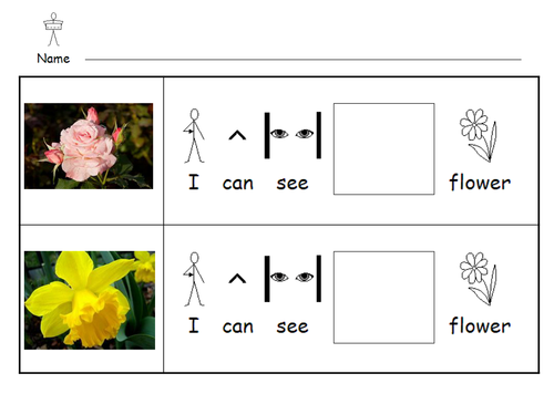 describing flower differences teaching resources