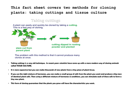 Type of Cloning | Teaching Resources