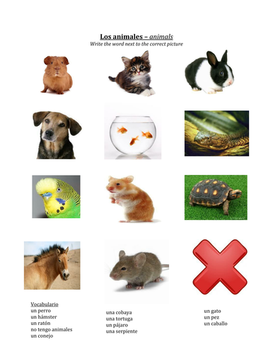 Los animales Teaching Resources