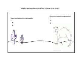 Hot Deserts Animals Adaptations Teaching Resources