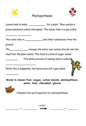 photosynthesis worksheet teaching resources