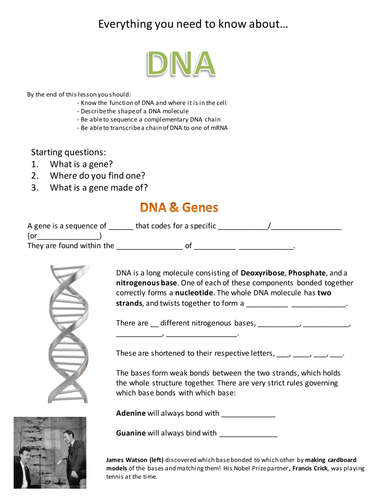 DNA & Base Pairing | Teaching Resources