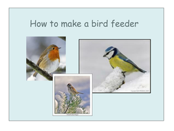 Instructions For Making A Bird Feeder Teaching Resources