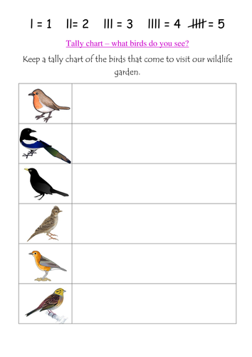 Bird watching tally chart | Teaching Resources