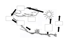 Water Cycle | Teaching Resources