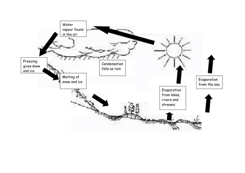 Water Cycle | Teaching Resources