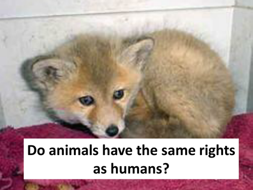 essay on animals should have same rights as humans