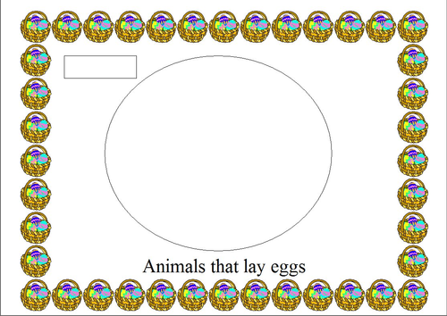 Sorting animals by pwilloughby3 - Teaching Resources - TES