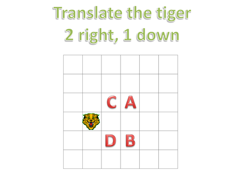 Maths starter: Tiger transformations | Teaching Resources