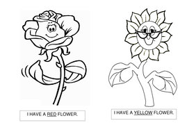 Colorful Flowers Book Teaching Resources