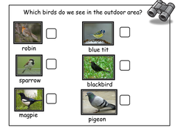 Bird Watching Checklist For Outdoor Area Teaching Resources