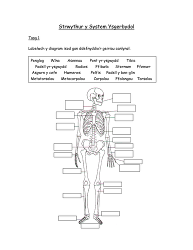 pdf, 795.25 KB