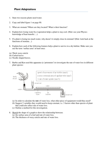 docx, 19.94 KB