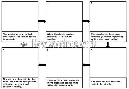 chart flow ks3 by Teaching chart Vaccination  cathb1975 TES Resources flow   UK