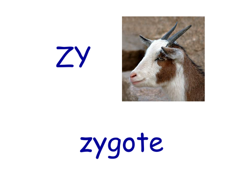 ppt, 560 KB