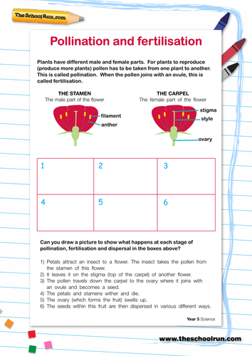 Pollination and fertilisation | Teaching Resources