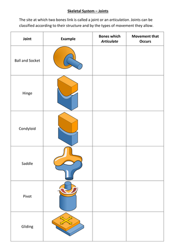 joint classifications worksheet teaching resources