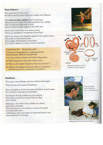 Nervous System | Teaching Resources