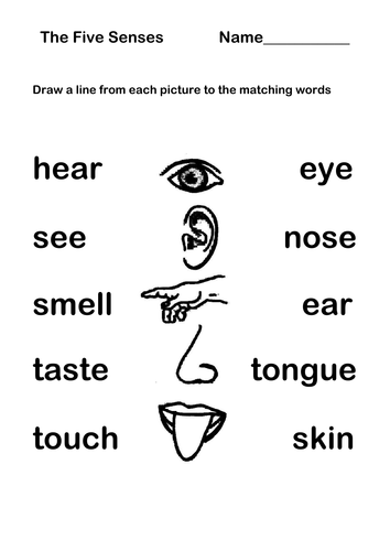 Five Senses | Teaching Resources