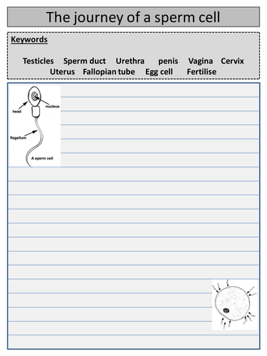 reproduction lessons and resources teaching resources