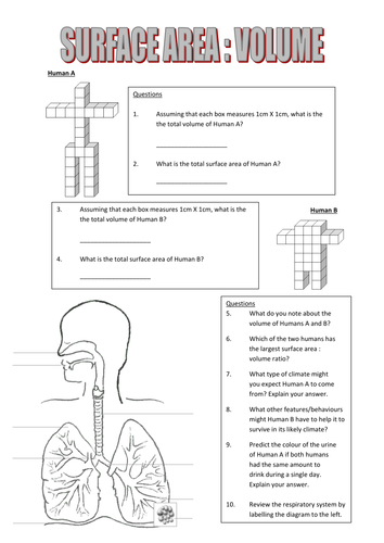 Surface area to volume ratios | Teaching Resources