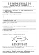 Carbohydrates Worksheet | Teaching Resources