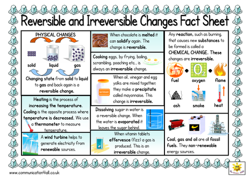 Reversible and Irreversible D Sided Fact Sheet | Teaching Resources