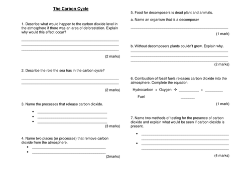 carbon-cycle-reading-and-worksheet