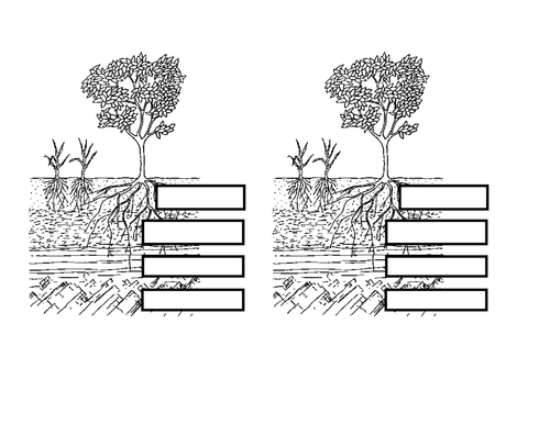 Worksheets Soil Profile Worksheet rocks and soils by philsha teaching resources tes soil profile pic docx