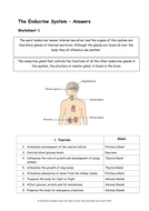 Glands and Hormones in the endocrine system | Teaching Resources