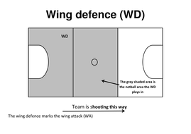 Netball playing position cards by jodz28 - Teaching Resources - Tes