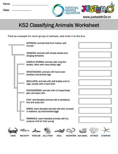 ks2 biodiversity and adaptations teaching resources