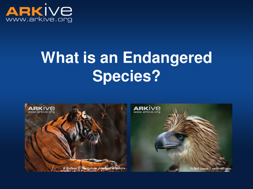 What is an Endangered Species? | Teaching Resources