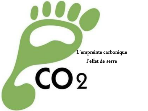 What Is Another Word For Carbon Footprint