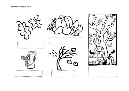 Autumn pictures to label | Teaching Resources
