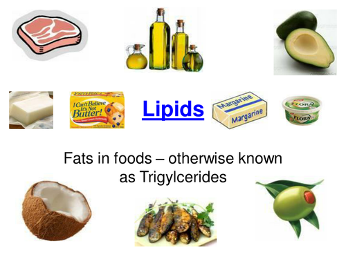 Fat Lipid 72