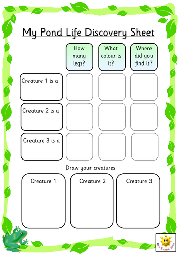 Pond Life Discovery Sheets | Teaching Resources