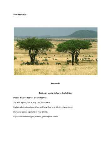 docx, 70.95 KB