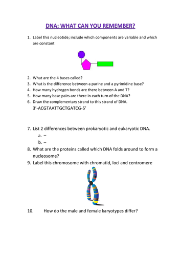 DNA revision worksheet | Teaching Resources