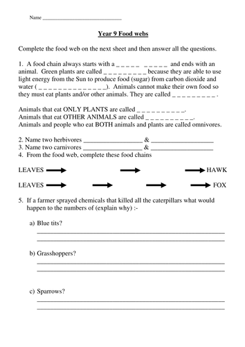 Worksheets Food Webs Worksheets food webs worksheet by cazzie123 teaching resources tes preview resource