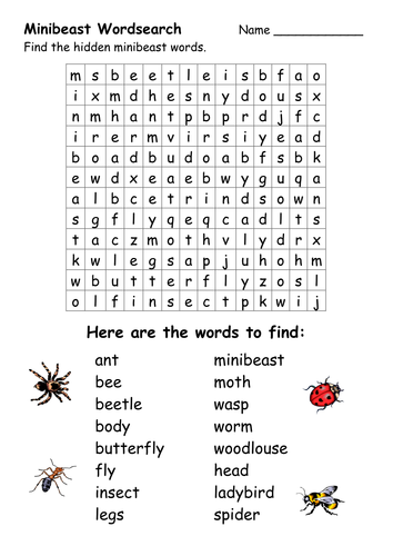 minibeast worksheets teaching resources