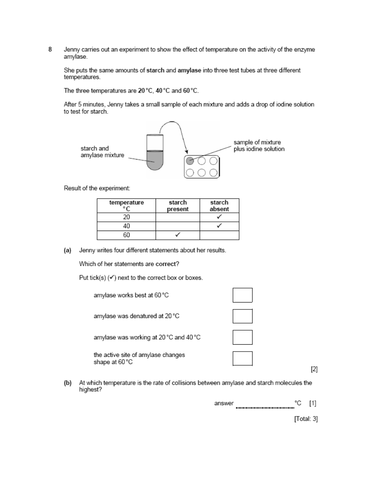 docx, 205.46 KB