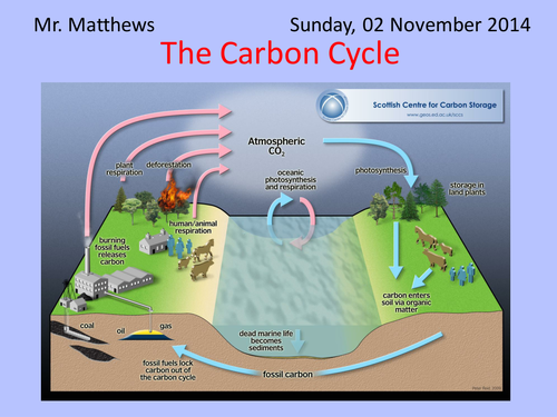 Carbon Cycle and Global Warming AQA A2 6.1 & 6.2 by willmatthews