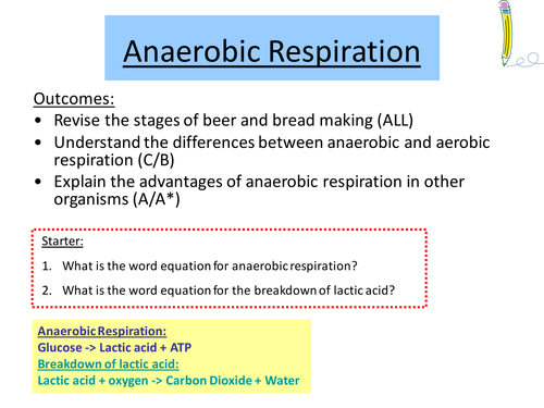 What are the two main types of anaerobic respiration