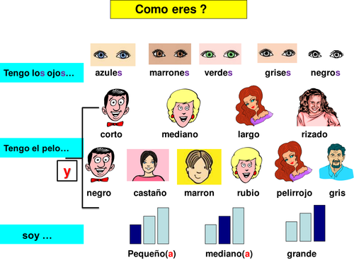 Describing self and others spanish ppt teaching resources