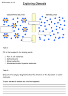 OCR Osmosis lesson | Teaching Resources