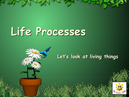 Life Processes - 
