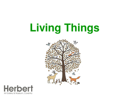 Living Things | Teaching Resources